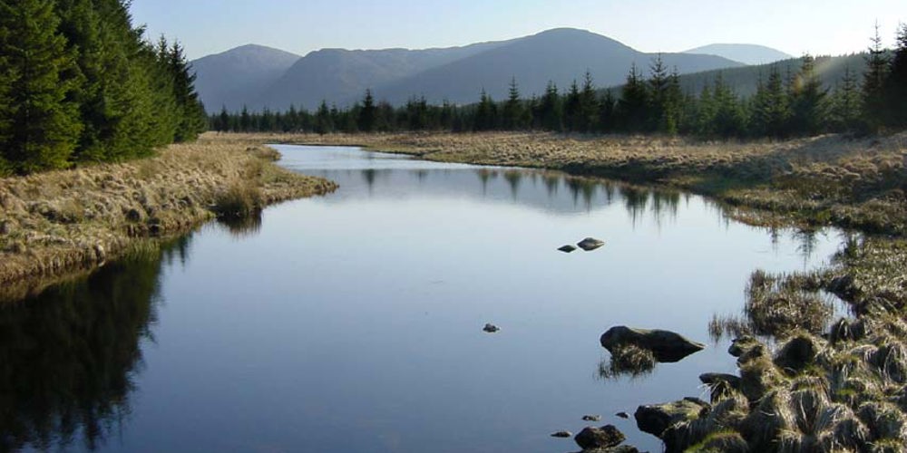 Doon Valley Pics Donald Reid 129